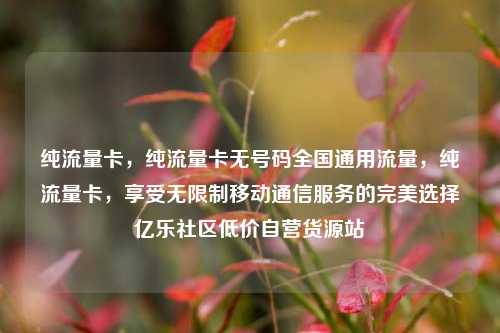 纯流量卡，纯流量卡无号码全国通用流量	，纯流量卡，享受无限制移动通信服务的完美选择亿乐社区低价自营货源站  第1张